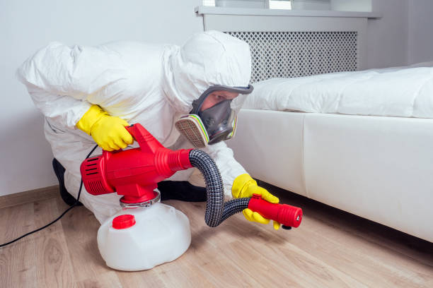 Best Fumigation Services  in Armada, MI